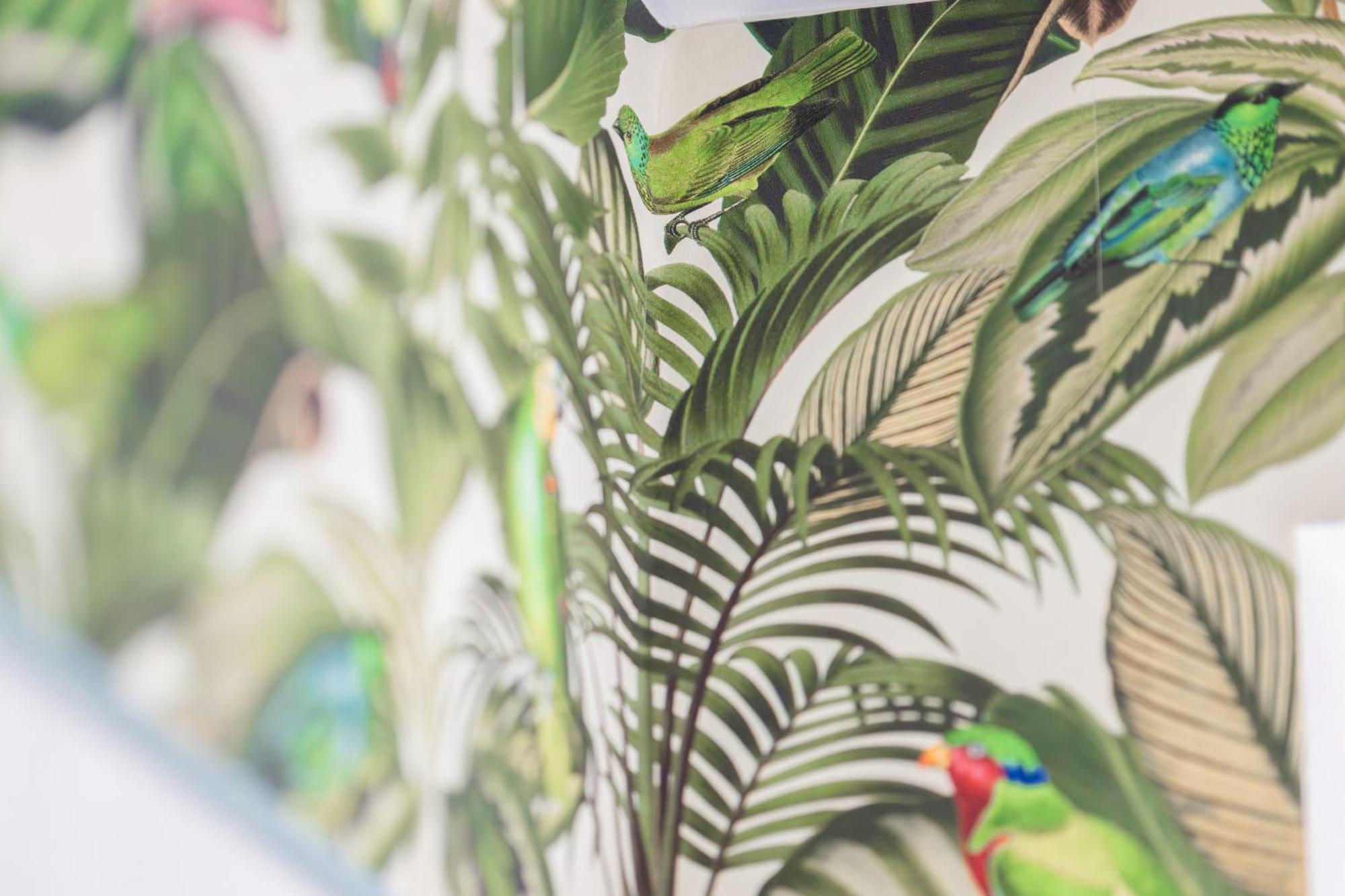 Stay Awesome - Urban Jungle Apartment Zentral, Wilhelmshoehe Kassel Luaran gambar